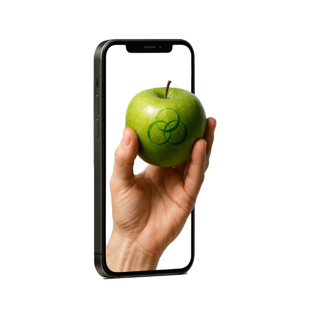 Creativel Ignite | Sirius Up, Hizmet Görseli